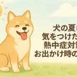 犬の夏に気をつけたい！熱中症対策とお出かけ時の注意点