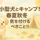小型犬とキャンプ！春夏秋冬気を付けるべきこと!!