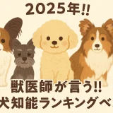 2025年!!獣医師が言う!!小型犬知能ランキングベスト5