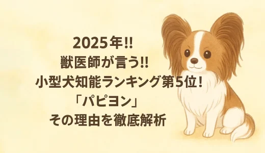 2025年!!獣医師が言う!! 小型犬知能ランキング第5位！「パピヨン」その理由を徹底解析