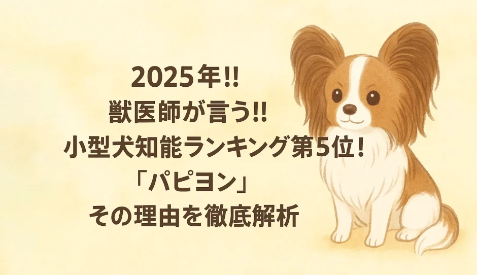 2025年!!獣医師が言う!! 小型犬知能ランキング第5位！「パピヨン」その理由を徹底解析