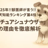 2025年!!獣医師が言う!! 小型犬知能ランキング第4位!「ミニチュアシュナウザー」その理由を徹底解析