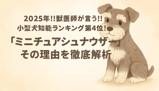 2025年!!獣医師が言う!! 小型犬知能ランキング第4位！「ミニチュアシュナウザー」その理由を徹底解析