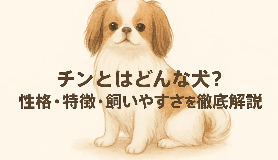 チンとはどんな犬？性格・特徴・飼いやすさを徹底解説