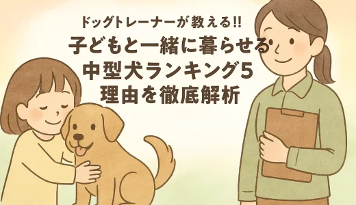ドッグトレーナーが教える!!子どもと一緒に暮らせる中型犬ランキング5理由を徹底解析