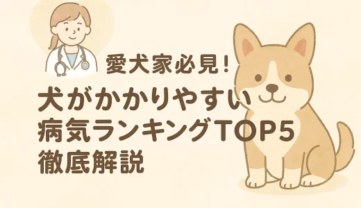 愛犬家必見！犬がかかりやすい病気ランキングTOP5徹底解説