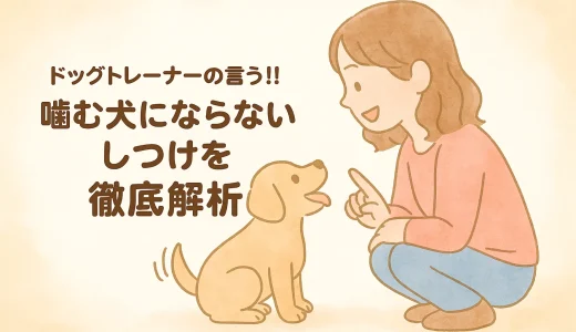 ドッグトレーナーの言う!!噛む犬にならないしつけを徹底解析
