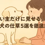 飼い主だけに見せる愛犬の仕草5選を徹底解析
