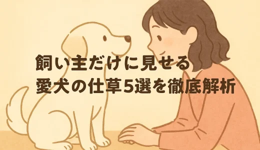 飼い主だけに見せる愛犬の仕草5選を徹底解析