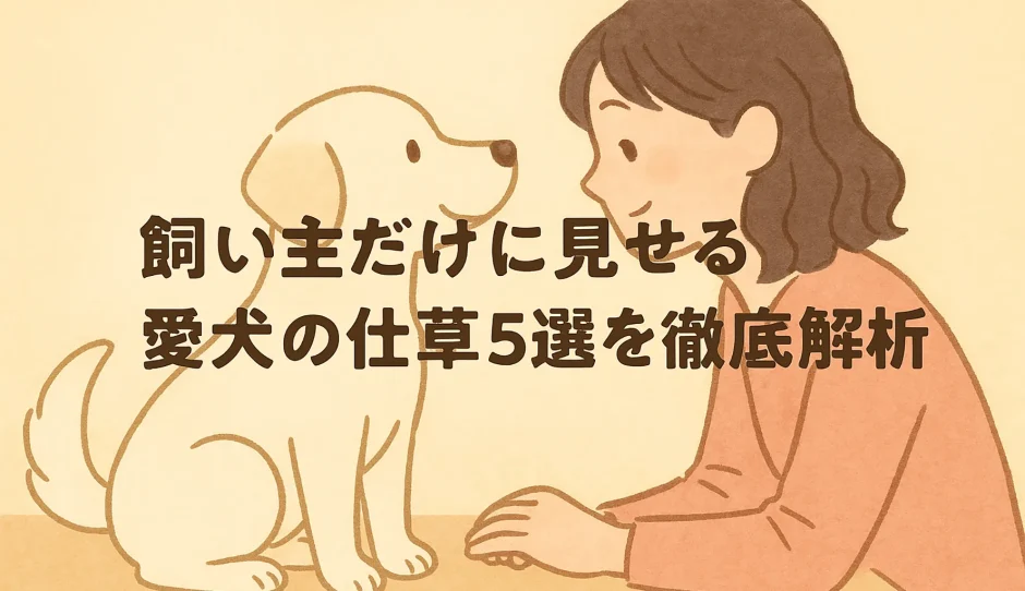 飼い主だけに見せる愛犬の仕草5選を徹底解析