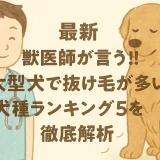 【最新】獣医師が言う!!大型犬で抜け毛が多い犬種ランキング5を徹底解析