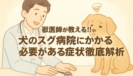 獣医師が教える!!犬のスグ病院にかかる必要がある症状徹底解析