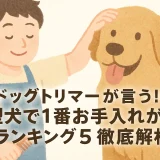 ドッグトリマーが言う!!大型犬で1番お手入れが必要ランキング5徹底解析