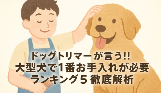 ドッグトリマーが言う!!大型犬で1番お手入れが必要ランキング5徹底解析