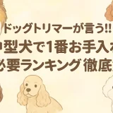ドッグトリマーが言う!!中型犬で1番お手入れが必要ランキング5徹底解析