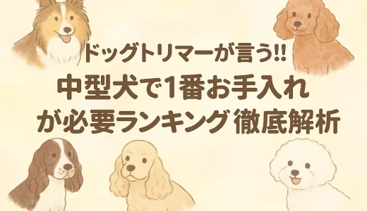 ドッグトリマーが言う!!中型犬で1番お手入れが必要ランキング5徹底解析