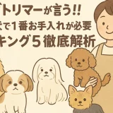 ドッグトリマーが言う!!小型犬で1番お手入れが必要ランキング5徹底解析