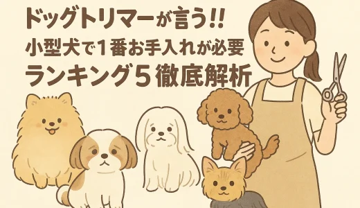 ドッグトリマーが言う!!小型犬で1番お手入れが必要ランキング5徹底解析