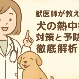 獣医師が教える!!犬の熱中症対策と予防5選を徹底解析