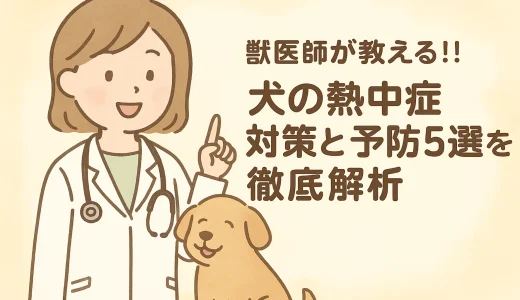 獣医師が教える!!犬の熱中症対策と予防5選を徹底解析