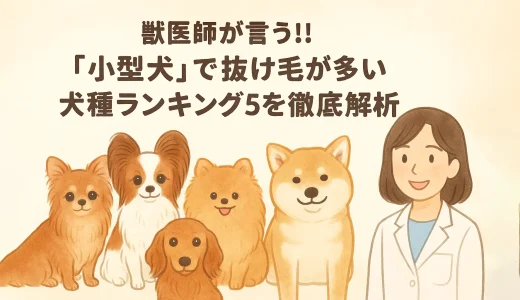 【最新】獣医師が言う!!「小型犬」で抜け毛が多い犬種ランキング5を徹底解析