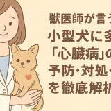 【最新】獣医師が言う!!小型犬に多い「心臓病」の予防･対処･治療を徹底解析