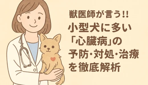 【最新】獣医師が言う!!小型犬に多い「心臓病」の予防･対処･治療を徹底解析