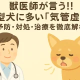【最新】獣医師が言う!!小型犬に多い「気管虚脱」の予防･対処･治療を徹底解析