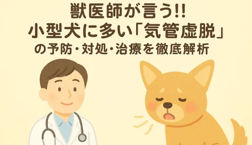 【最新】獣医師が言う!!小型犬に多い「気管虚脱」の予防･対処･治療を徹底解析