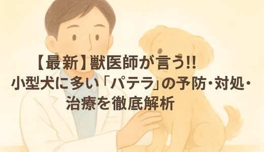 【最新】獣医師が言う!!小型犬に多い「パテラ」の予防･対処･治療を徹底解析