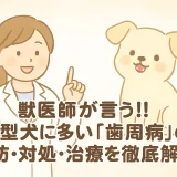 【最新】獣医師が言う!!小型犬に多い「歯周病」の予防･対処･治療を徹底解析