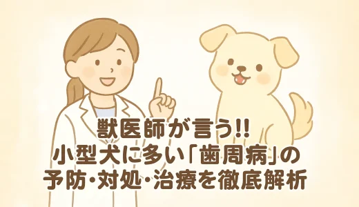 【最新】獣医師が言う!!小型犬に多い「歯周病」の予防･対処･治療を徹底解析
