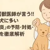 【最新】獣医師が言う!!小型犬に多い「外耳炎」の予防･対処･治療を徹底解析