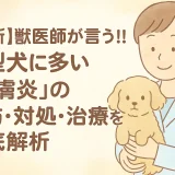最新】獣医師が言う!!小型犬に多い「皮膚炎」の予防･対処･治療を徹底解析