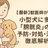 最新】獣医師が言う!!小型犬に多い「膀胱炎」の予防･対処･治療を徹底解析