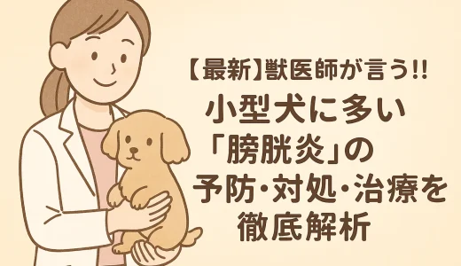 最新】獣医師が言う!!小型犬に多い「膀胱炎」の予防･対処･治療を徹底解析
