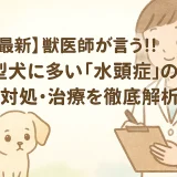 最新】獣医師が言う!!小型犬に多い「水頭症」の予防･対処･治療を徹底解析