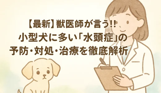最新】獣医師が言う!!小型犬に多い「水頭症」の予防･対処･治療を徹底解析