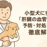 【最新】獣医師が言う!!小型犬に多い「肝臓の血管異常」の予防･対処･治療を徹底解析