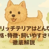 ノーリッチテリアとはどんな犬？性格・特徴・飼いやすさを徹底解説
