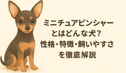 ミニチュアピンシャーとはどんな犬？性格・特徴・飼いやすさを徹底解説