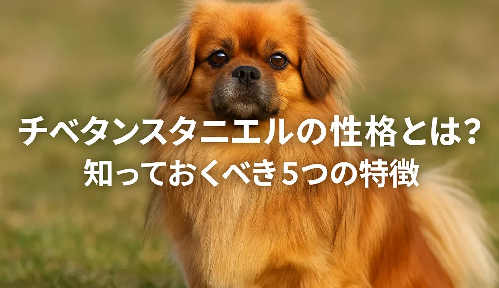 チベタンスタニエルの性格とは?知っておくべき5つの特徴
