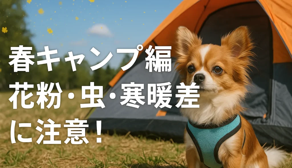春キャンプ編:花粉・虫・寒暖差に注意!