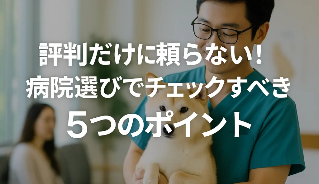 評判だけに頼らない!病院選びでチェックすべき5つのポイント
