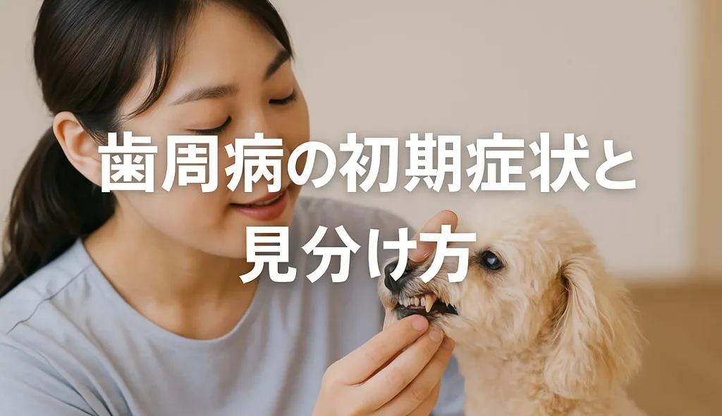 歯周病の初期症状と見分け方