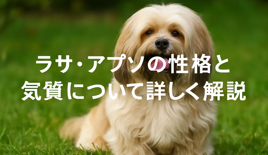 ラサ・アプソの性格と気質について詳しく解説