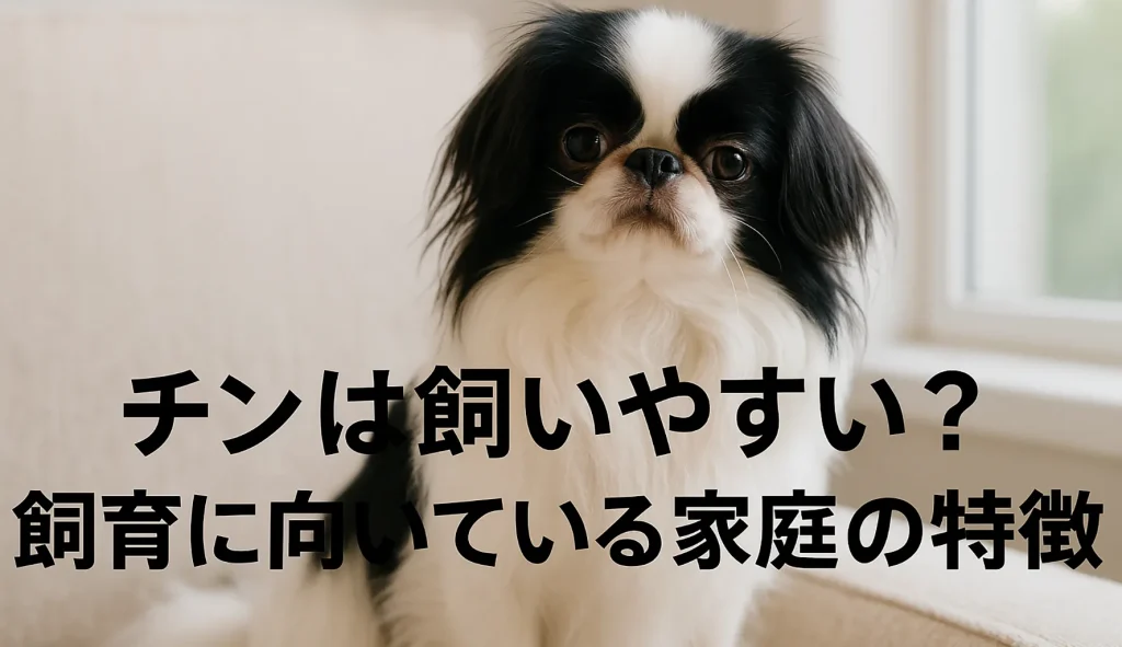チンは飼いやすい?飼育に向いている家庭の特徴