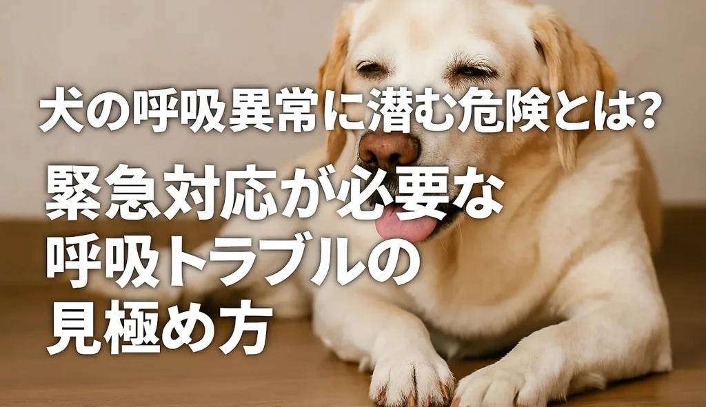 犬の呼吸異常に潜む危険とは?緊急対応が必要な呼吸トラブルの見極め方