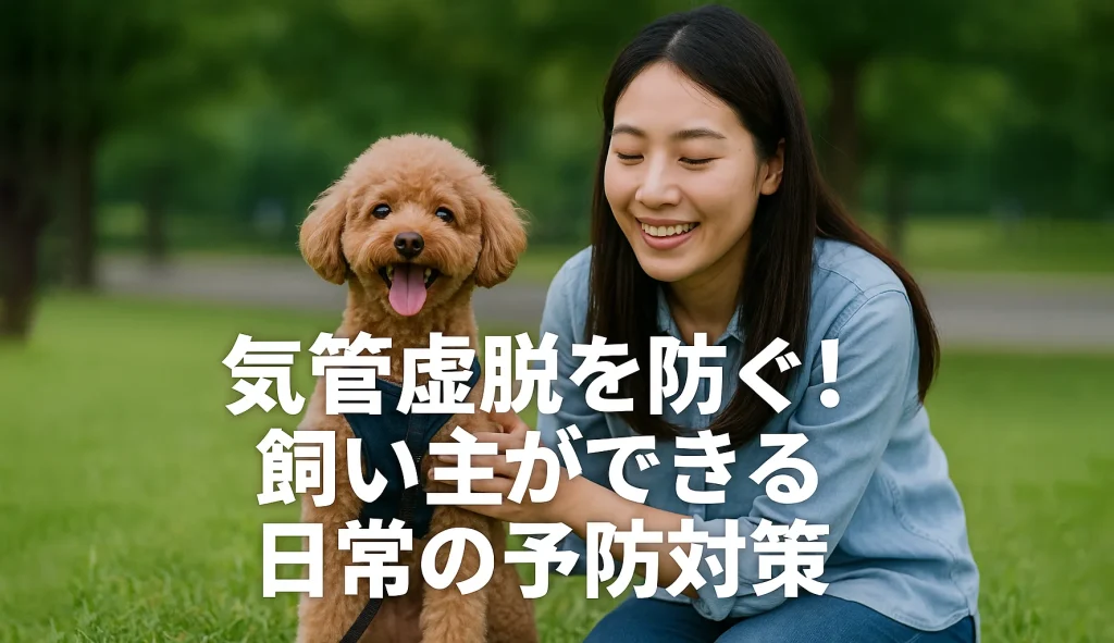 気管虚脱を防ぐ!飼い主ができる日常の予防対策