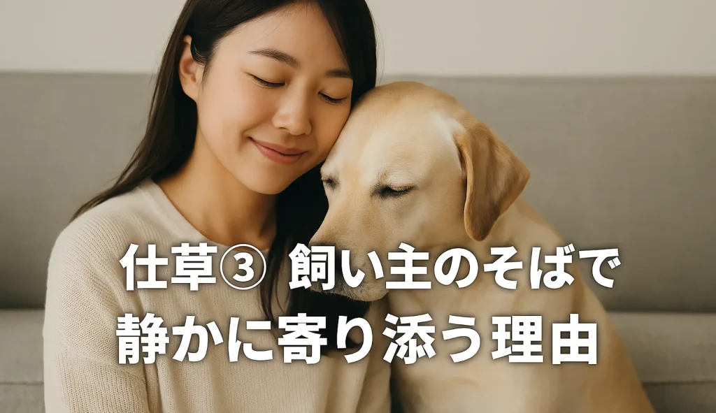 仕草③ 飼い主のそばで静かに寄り添う理由